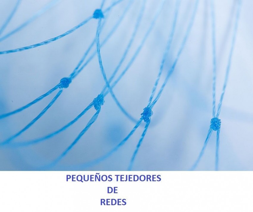 Blogs de Aula